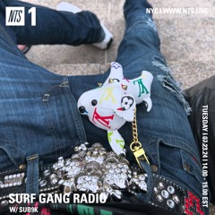 NTS SURF GANG RADIO W/ SUB9K