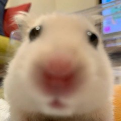 ☆ ; what || rob zombie || sped up