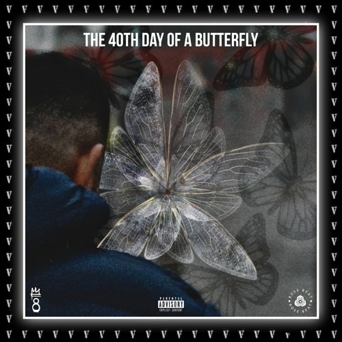 The 40th Day Of A Butterfly
