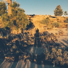 foresting 2.wav