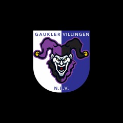 Gaukler Villingen - Gaukler Hymne (New Wave)