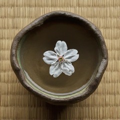 Shinyuu
