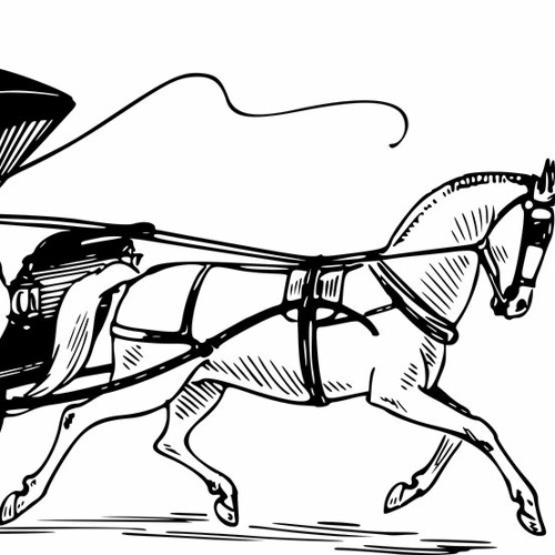 Stream THE POWERFUL HORSE WHIP by Rabbi Sholem Perl Listen online for