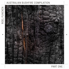 Roel.Funcken.Australian.Bushfire.Compilation.part1.mix