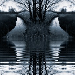 Reflection