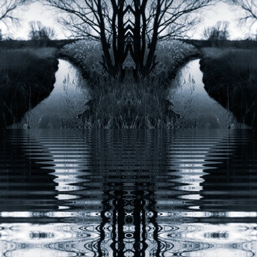 Reflection