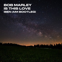 Bob Marley - Is This Love (Ben Aim Bootleg)