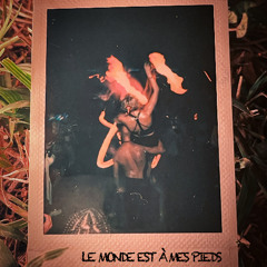 Niksu - Le monde est à mes pieds vs Rapture III (mashup)