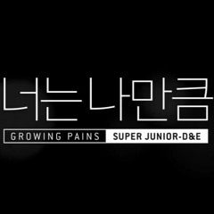 Super Junior D & E - 너는 나만큼 (Growing Pains).mp3