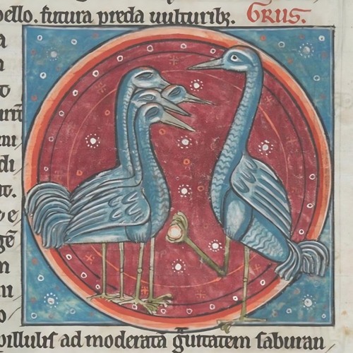 Snowing in the Spring ft. tartan