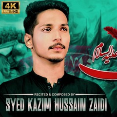 ya qamar e bani hashim | Syed Kazim Hussain Zaidi| New Nohay 2025