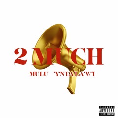 2Much feat. yntalawi