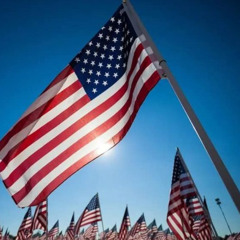 10 November 2025 Flags for Heroes with Chambersburg Rotary