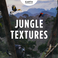 Jungle Textures - Tropical Sound FX Library (Vol. 1)