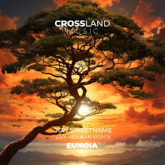 Jon Sweetname - Eunoia (Luy Hernan Remix)