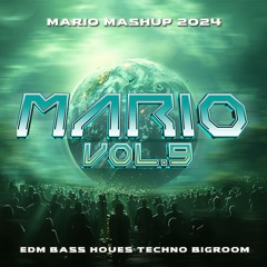 MARIO MASHUP 2024 Vol.9 (BASSHOUSE & BIGROOM TECHNO)