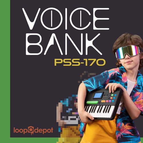 Voice Bank PSS-170