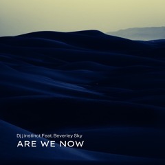 Dj J Instinct - Are We Now Feat. Beverley Sky