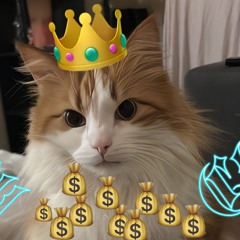 SIGMA CAT BuBuIs