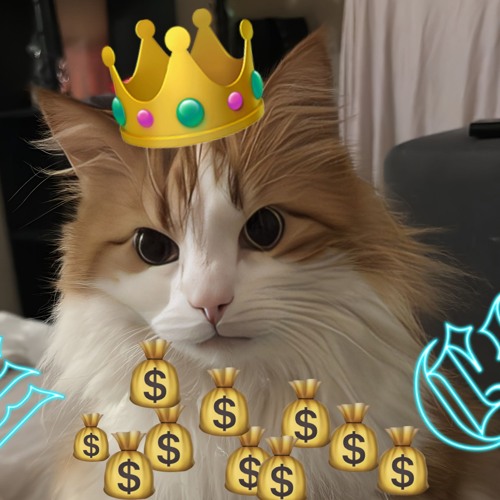 SIGMA CAT BuBuIs