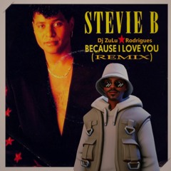 Stevie B - Because I Love You Remix Vs Dj Zulu Rodrigues
