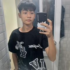 NST 2024 - THAI HOANG(DUC-MANH)