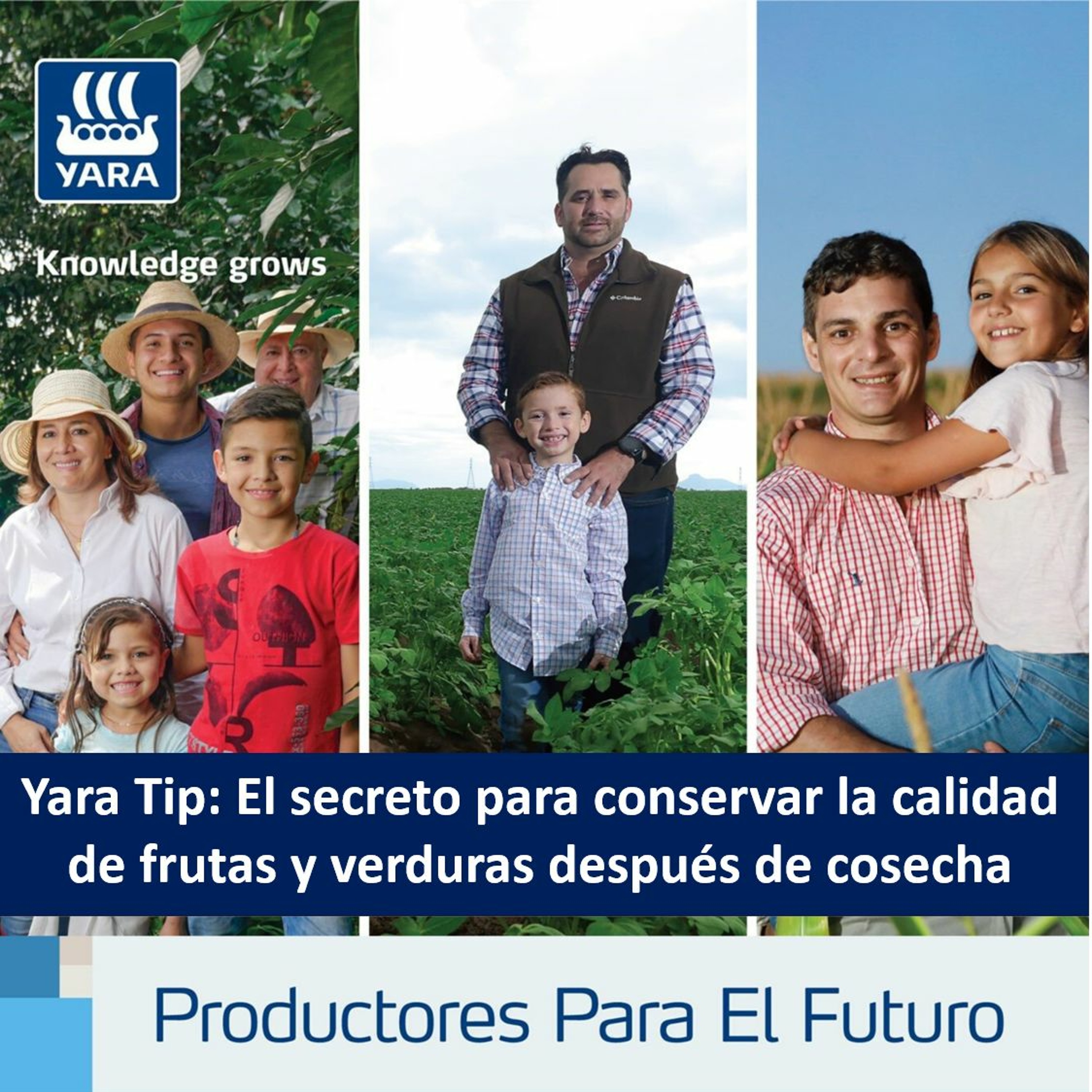 Productores Para El Futuro