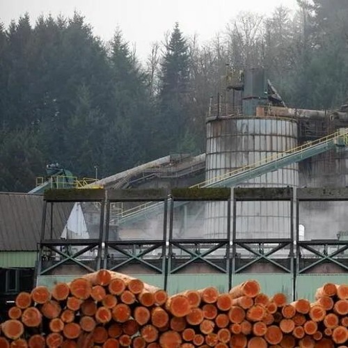 Stream GROTER Listen to Real Canadian Lumber. playlist online for