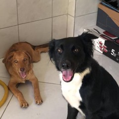 Darkão da Sexta