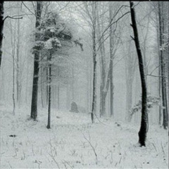 Take Us Down (ft. njcool)