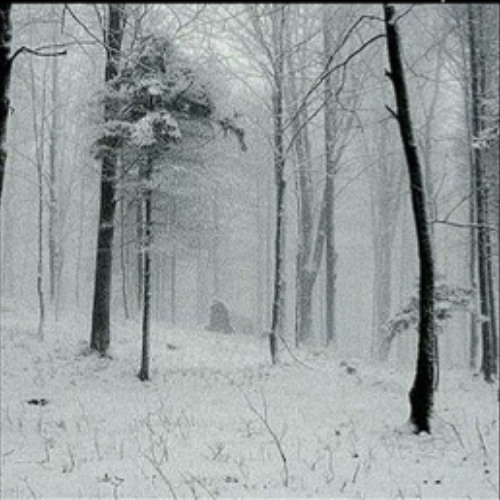 Take Us Down (ft. njcool)