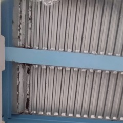 Under the 31st Street Bridge (Ol Whitetail)