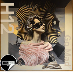 H12 - Go Mad (Stodius DNB RMX)