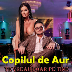 Te vreau doar pe tine