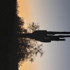 Desert Daze [Melodic / Techno Mix]
