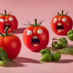 los tomates dicen que noo