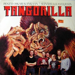 Seitseman Seinahullua - Outro Lugar (DJ Finnairs Ihana Mix)