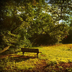 3.Breezy days, happy hearts