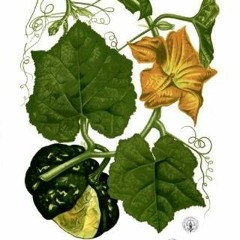 He sent his neighbor a card about her squash, sold her home for $2.25 Million