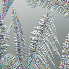 winterlight