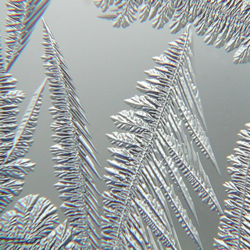 winterlight