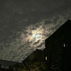 [이달의 마음 ; Mood of the month] Fear