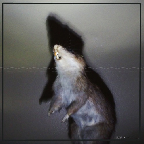 Fochs Koshka - Slimey Cinderellafish [HF001] *FREE DOWNLOAD*