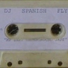 DJ Spanish Fly - Shit Going On