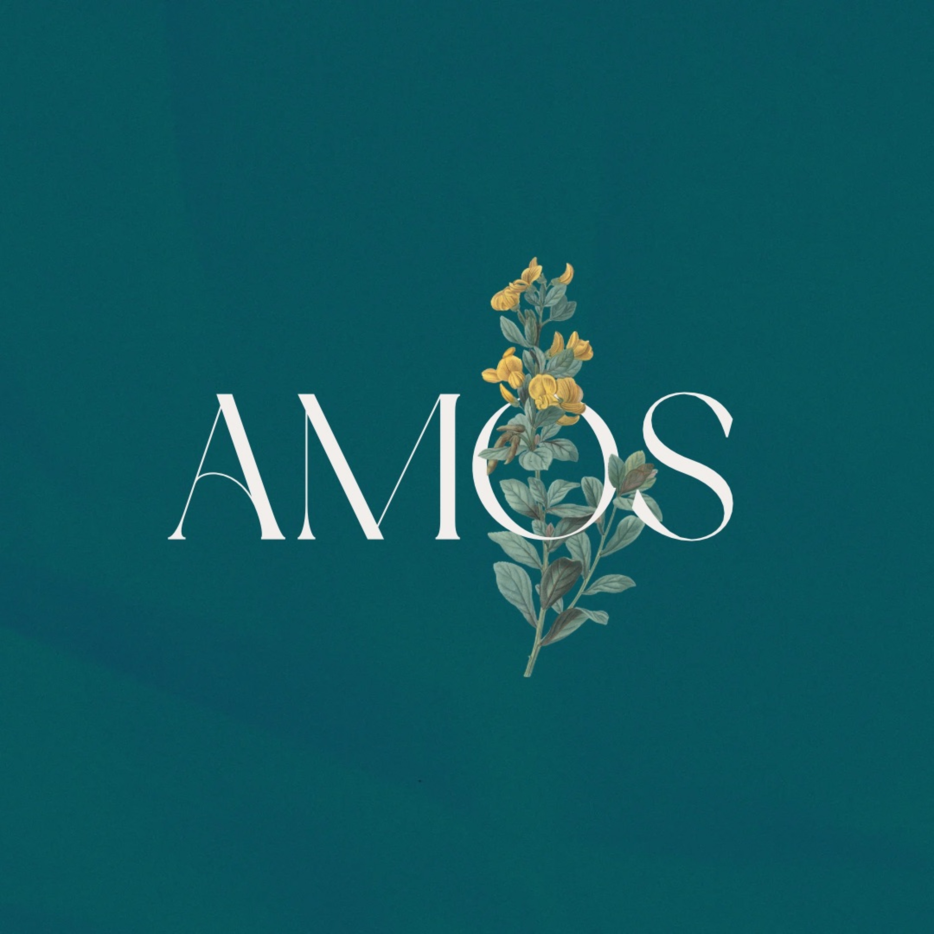 Costly Grace - Amos 3:1-8 episode artwork