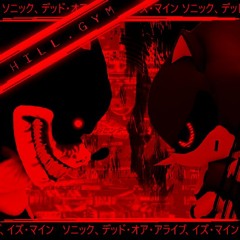 HILL.GYM - SONIC.EXE: OUTCOME MEMORIES