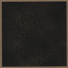 Few Mysteries Solved In A Year Of Contact