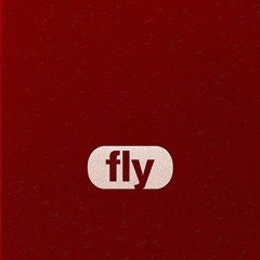 fly
