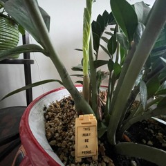 Mighty Pillars Of Salt