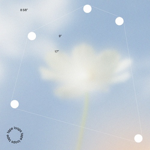 Amanita Phalloides and Heavenchord - Tape Loops